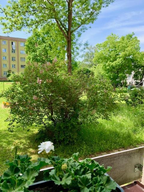 Apartman Snyt Primka Оломоуц Экстерьер фото